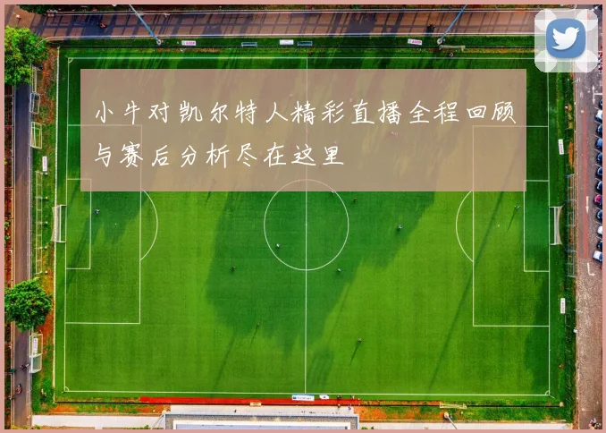 小牛对凯尔特人精彩直播全程回顾与赛后分析尽在这里