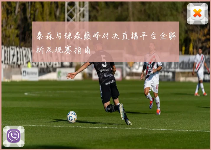 泰森与琼森巅峰对决直播平台全解析及观赛指南
