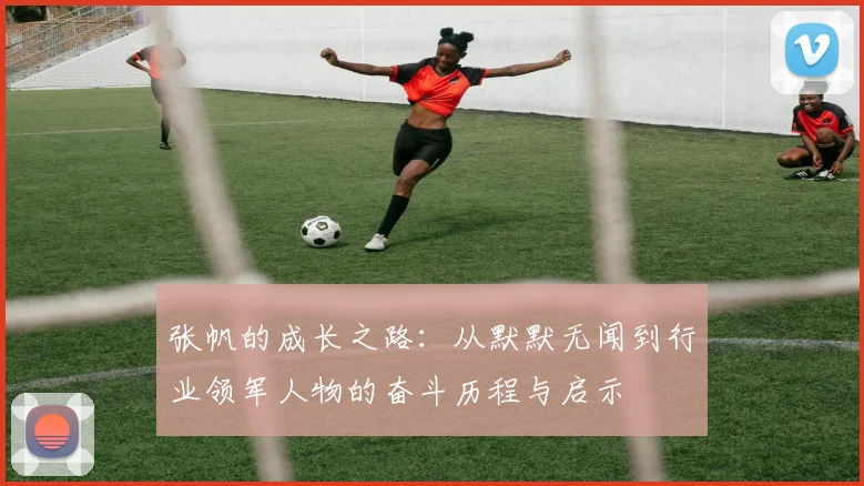 张帆的成长之路：从默默无闻到行业领军人物的奋斗历程与启示