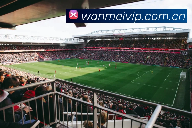 App Interface Preview