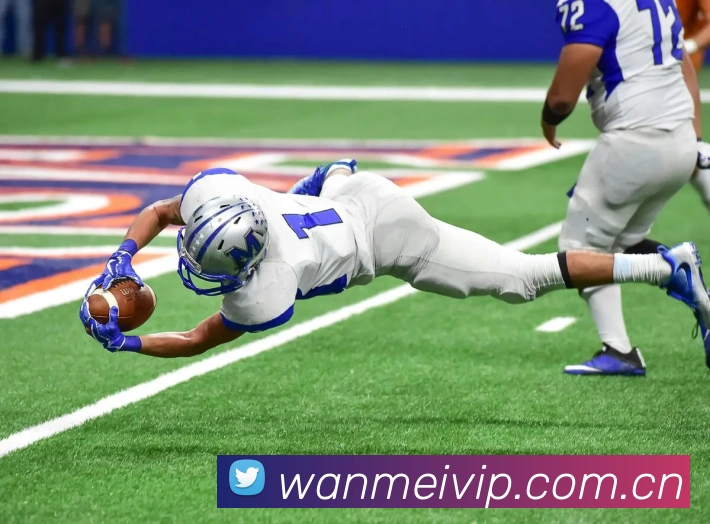 完美体育APP 封面图